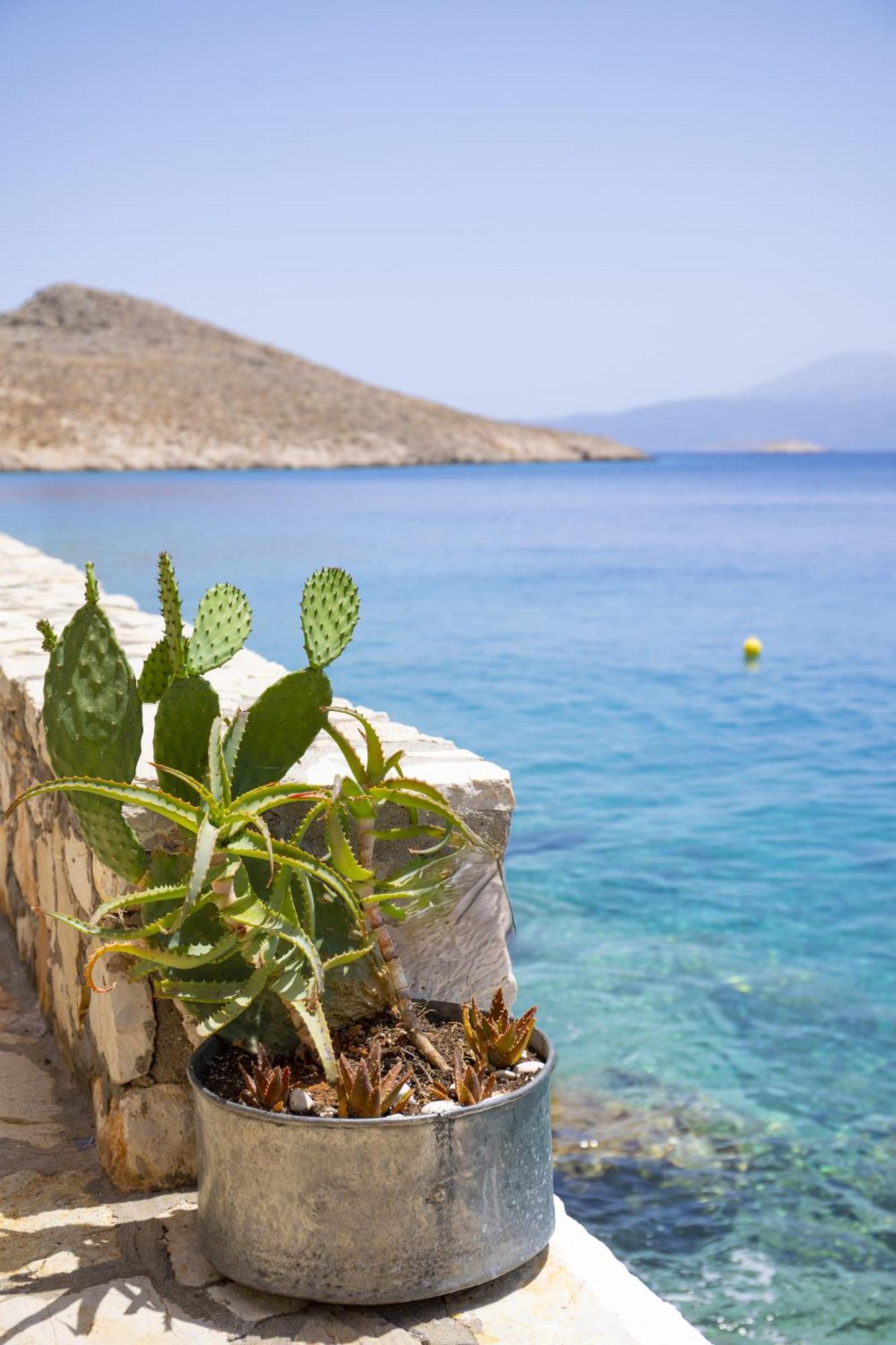 Villa Electra Chalki Town Dış mekan fotoğraf